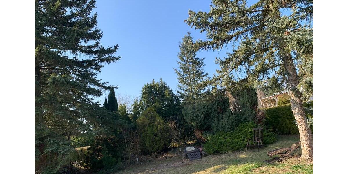 Einfamilienhaus Erfurt Hochheim - 1 Zimmer, 80 m&sup2;, 45.000&euro; | Angebot:20544802