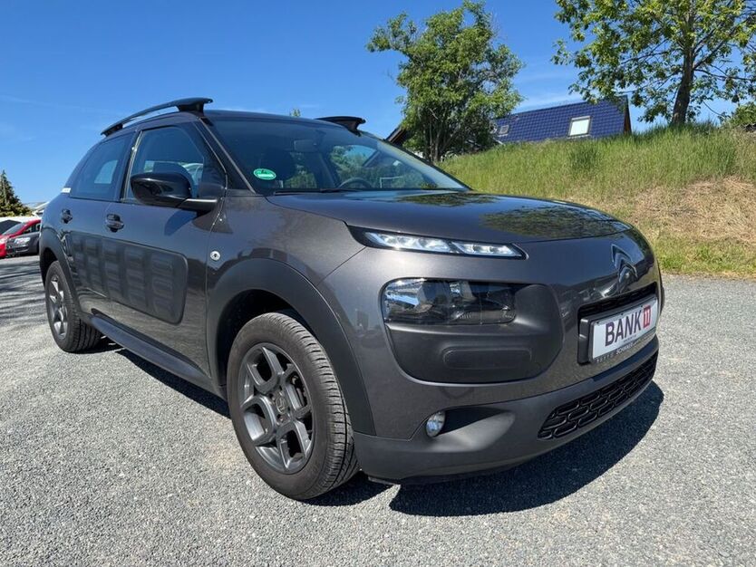 C4 Cactus