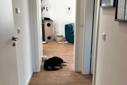 Wohnung Erfurt Daberstedt - 2 Zimmer, 65 m&sup2;, 1.080&euro; | Angebot:25320266