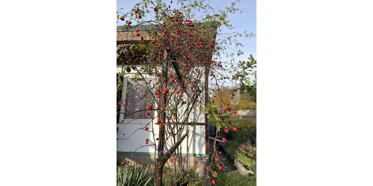 Grundstück Meckfeld bei Bad Berka Meckfeld - 42.500&euro; | Angebot:24296658