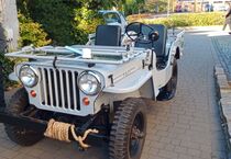 Willys