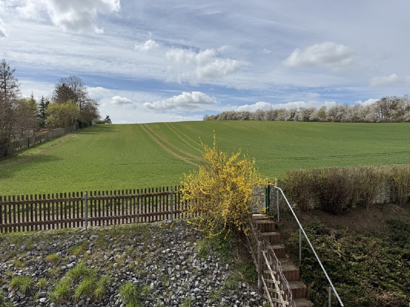 Das Eigenheim lockt - Doppelhaushälfte Goldbach Goldbach | Angebot:26433722