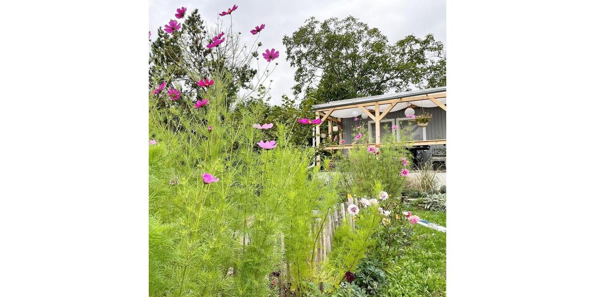 Grundstück Erfurt Daberstedt | Angebot:25372633