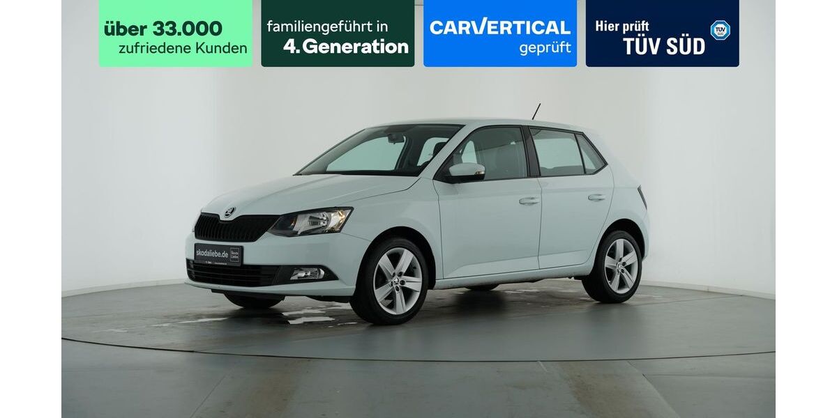 Skoda Fabia 99.169 km 8.999 &euro; Erfurt 99086