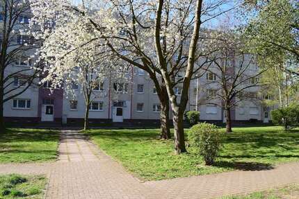 Wohnung zum Mieten in Gotha 250 € 42.3 m²