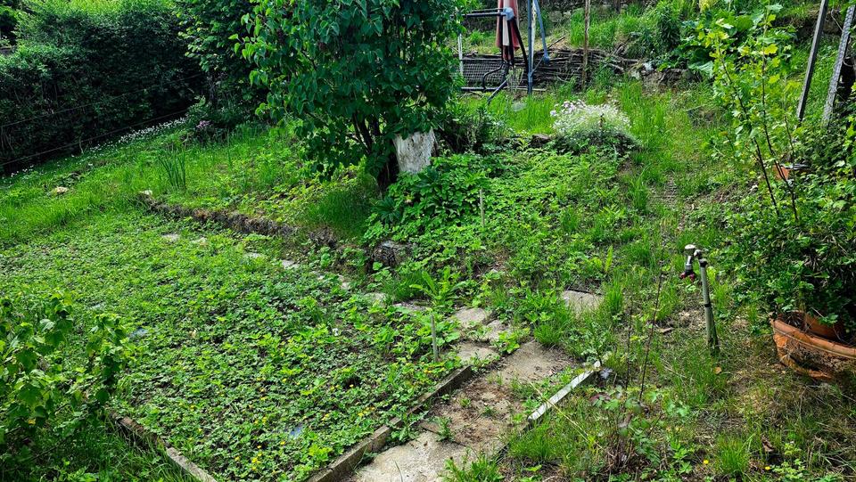 Grundstück Erfurt Hochheim - 3.450&euro; | Angebot:25908246