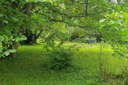 Grundstück Erfurt Löbervorstadt - 50.000&euro; | Angebot:25667700