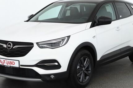 Opel Grandland (X) 67.828 km 16.990 &euro; Gotha 99867