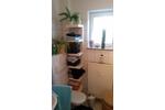 Etagenwohnung Dachwig - 3 Zimmer, 87 m&sup2;, 957&euro; | Angebot:26484594