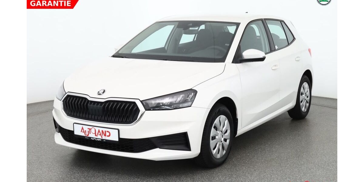 Skoda Fabia 27.429 km 15.990 &euro; Gotha 99867