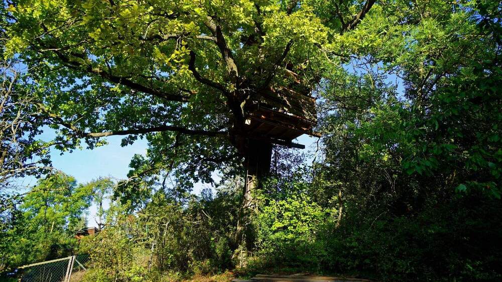 Grundstück Erfurt Möbisburg-Rhoda - 199.000&euro; | Angebot:25819650