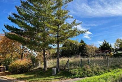 Romantisches Flair und zeitlose Eleganz. Ihr Town & Country Haus in Waltersleben! 5 zimmer