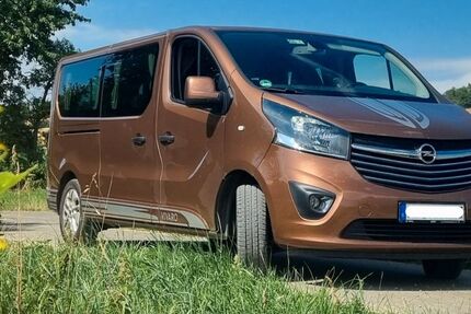 Opel Vivaro 125.000 km 14.999 &euro; Blankenhain 99444