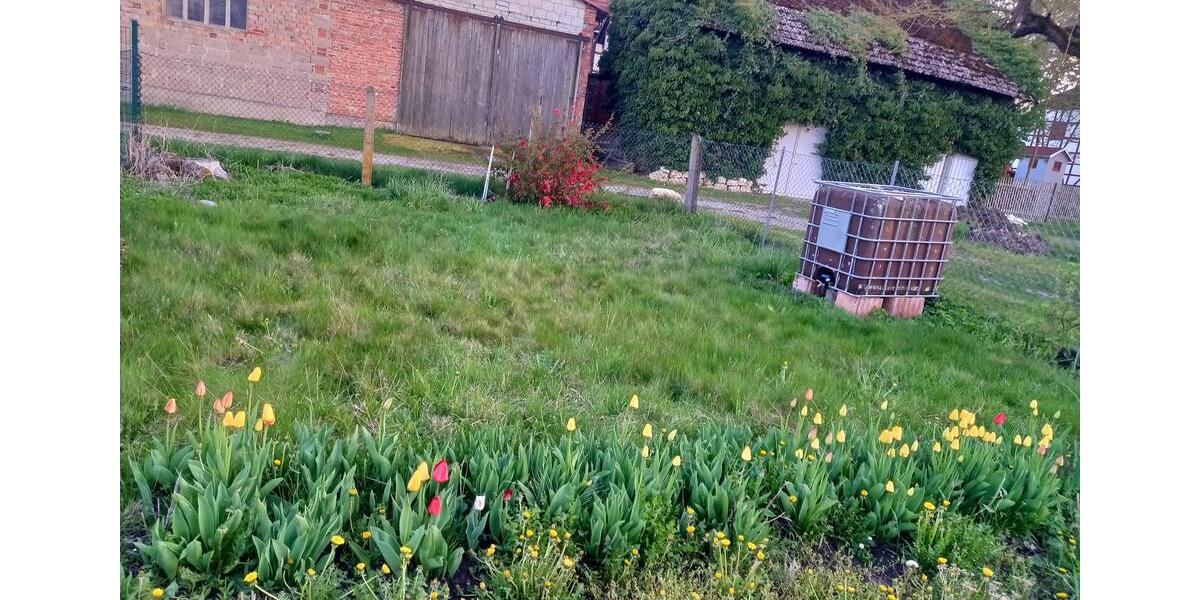 Grundstück Blankenhain - 7.950&euro; | Angebot:20269682