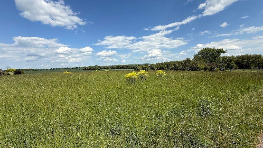 Grundstück Arnstadt Marlishausen - 105.400&euro; | Angebot:24721448