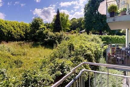 Wohnung zum Kaufen in Ohlsbach 249.000 € 53 m²
