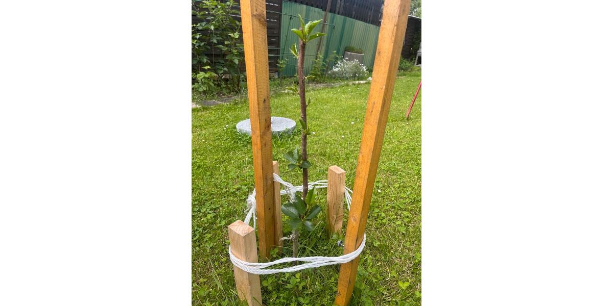 Grundstück Erfurt Hochheim - 3.500&euro; | Angebot:25844744