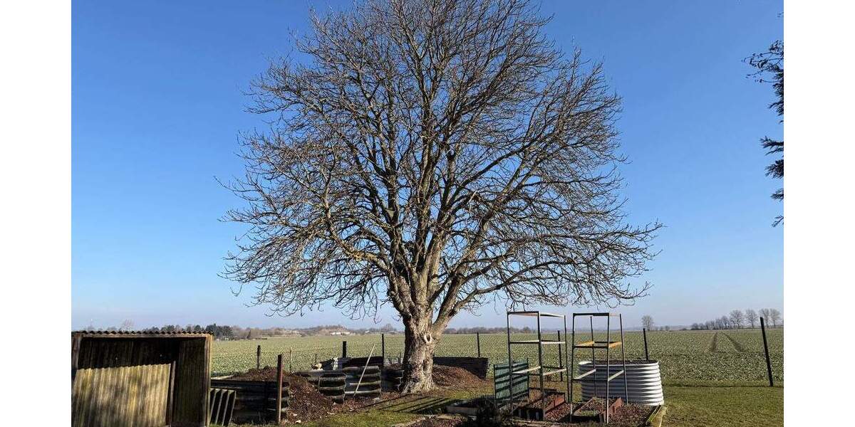 Einfamilienhaus Gotha - 8 Zimmer, 171 m&sup2;, 199.000&euro; | Angebot:25165472