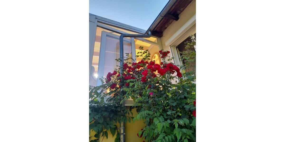 Einfamilienhaus Erfurt - 2 Zimmer, 35 m&sup2;, 89.000&euro; | Angebot:25612449