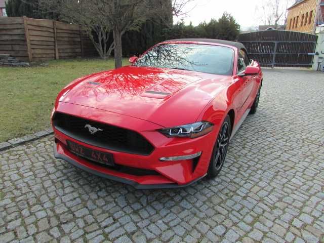 Mustang
