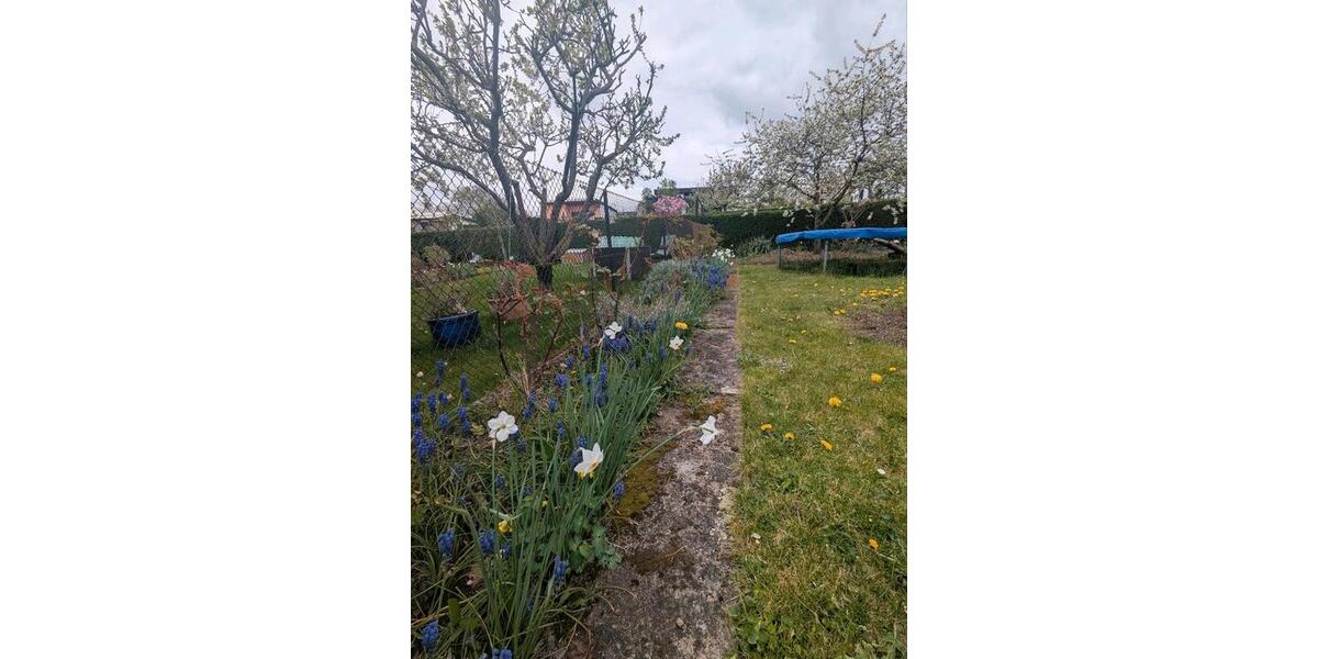 Grundstück Erfurt Daberstedt - 4.000&euro; | Angebot:26007252