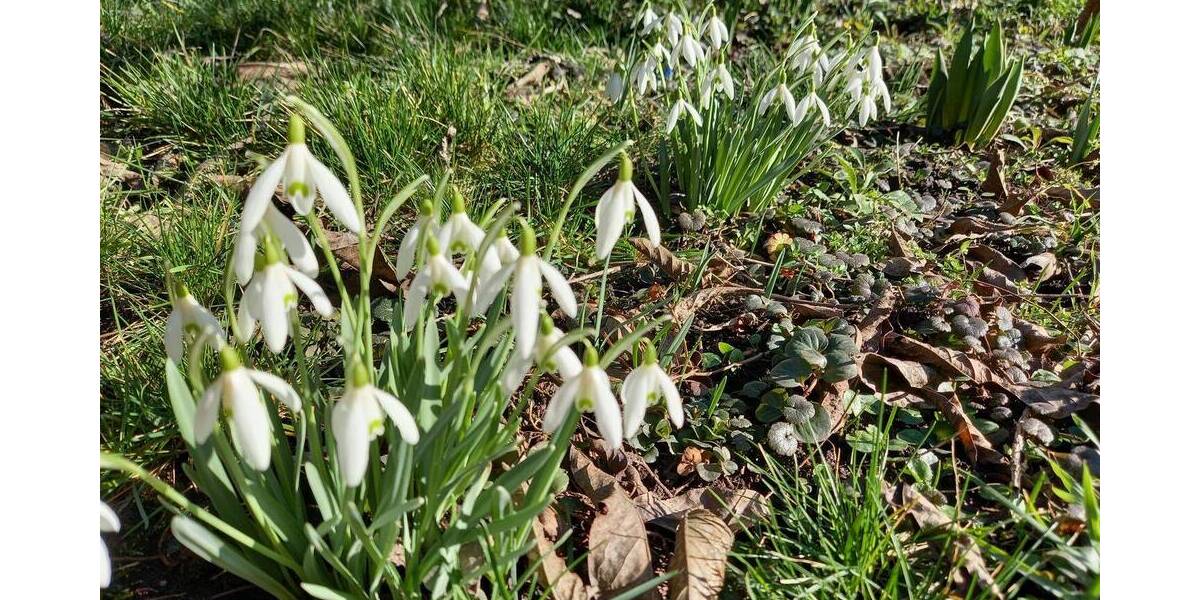 Einfamilienhaus Neudietendorf Neudietendorf - 4 Zimmer, 87 m&sup2;, 184.900&euro; | Angebot:26014679