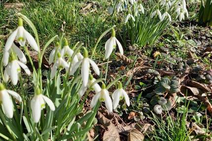 Haus Neudietendorf Neudietendorf - 4 Zimmer, 87 m&sup2;, 184.900&euro; | Angebot:26014679