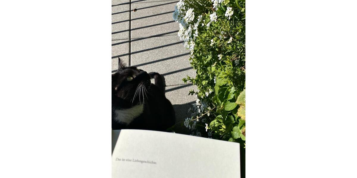 Etagenwohnung Erfurt - 4 Zimmer, 120 m&sup2;, 930&euro; | Angebot:25070057