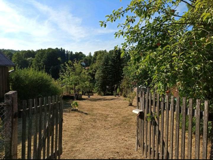 Grundstück Erfurt Johannesvorstadt - 180&euro; | Angebot:25770202