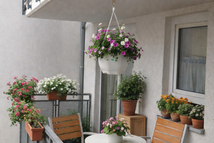 Wohnung Erfurt Johannesvorstadt - 3 Zimmer, 80 m&sup2;, 960&euro; | Angebot:25252139