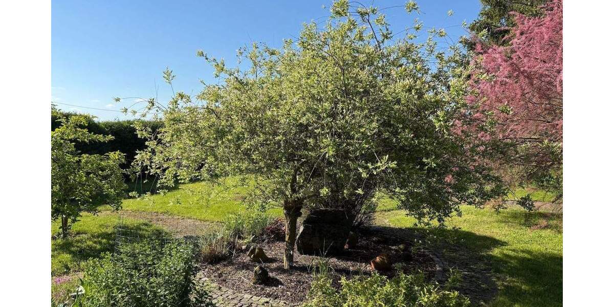 Grundstück Wangenheim Wangenheim - 25.000&euro; | Angebot:26796719