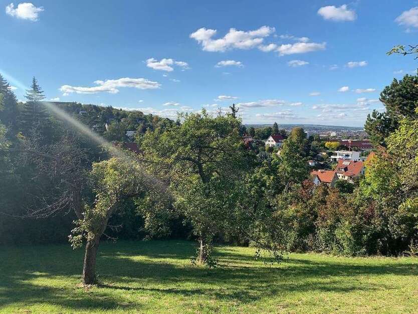 Grundstück zu verkaufen in Erfurt 1176 m²