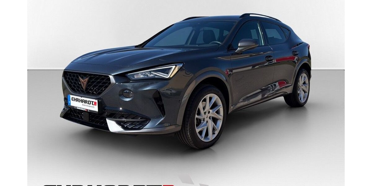 Cupra Formentor 51.880 km 25.990 &euro; Weimar 99427