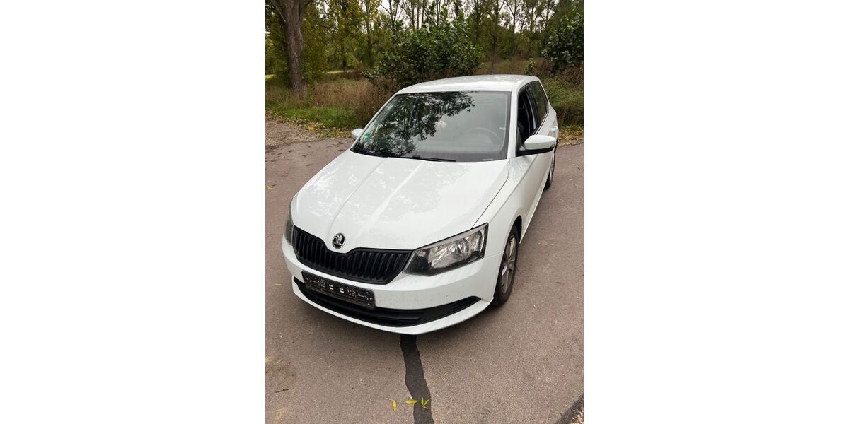 Skoda Fabia 181.000 km 6.300 &euro; Vogelsberg 99610