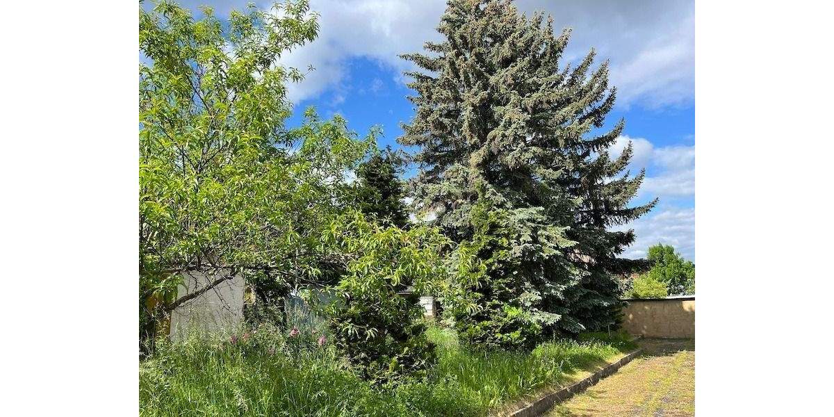 Mehrfamilienhaus, Wohnhaus Arnstadt - 1 Zimmer, 270 m&sup2;, 135.000&euro; | Angebot:24967240