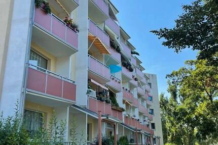 2-Zimmer-Wohnung mit Einbauküche zimmer