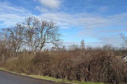 Grundstück Großfahner - 129.000&euro; | Angebot:25224477