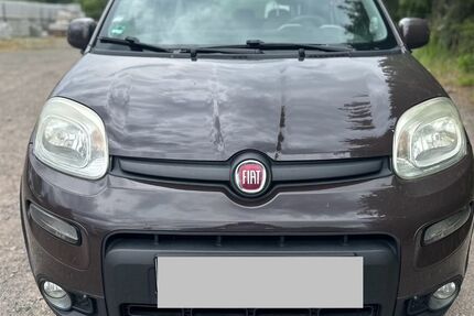Fiat Panda 178.250 km 6.780 € Georgenthal - Catterfeld (direkt an der B88) 99887