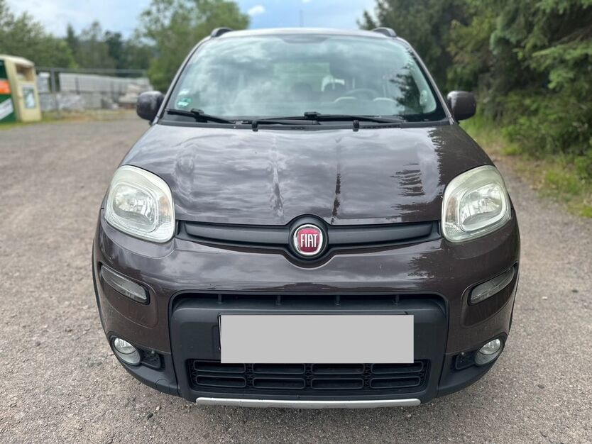 Fiat Panda 178.250 km 6.780 € Georgenthal - Catterfeld (direkt an der B88) 99887