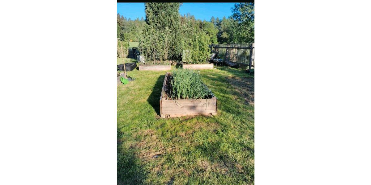 Grundstück Erfurt Johannesvorstadt - 70&euro; | Angebot:25770203