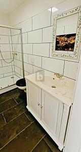 KAPITALANLAGE IM ZENTRUM MIT STUCK UND PARKETT 25 zimmer