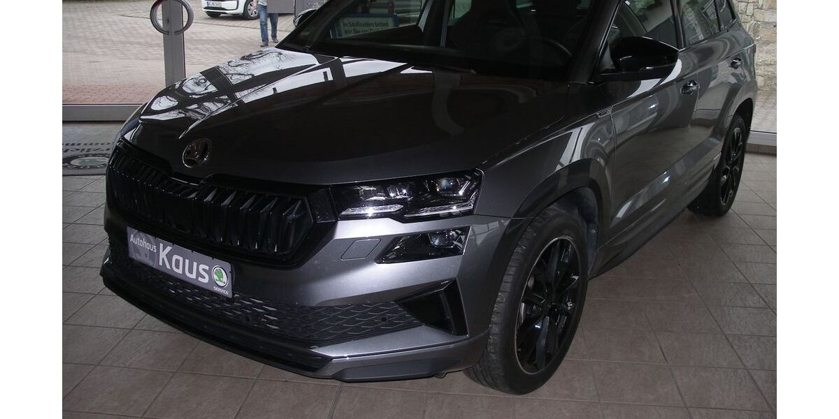 Skoda Karoq 28.000 km 29.990 &euro; Gelmeroda 99428