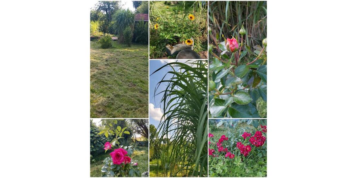 Grundstück Erfurt Linderbach - 3.500&euro; | Angebot:26024640