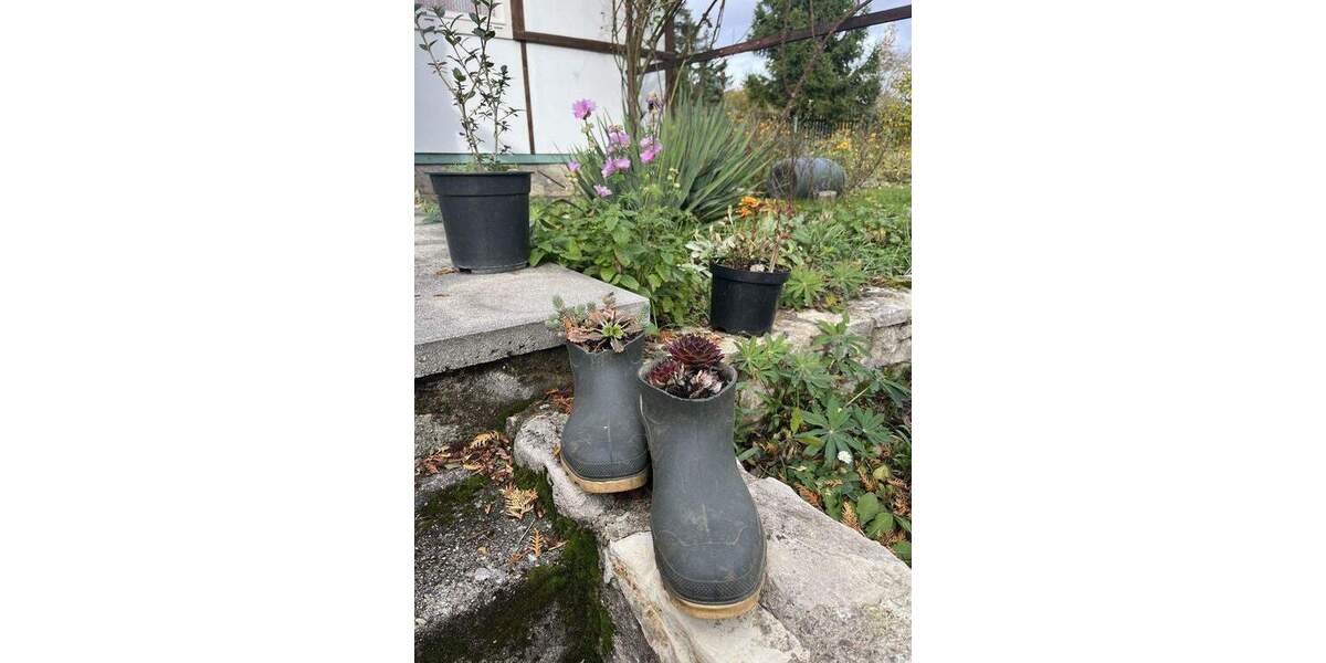 Grundstück Meckfeld bei Bad Berka Meckfeld - 42.500&euro; | Angebot:24296658