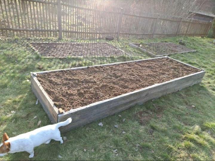 Grundstück Erfurt Johannesvorstadt - 70&euro; | Angebot:25770203