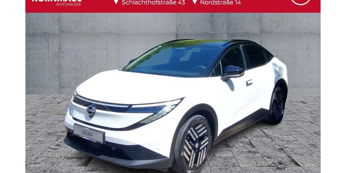 Nissan Leaf 3.000 km 39.807 &euro; Weimar 99427