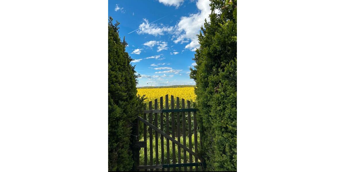 Doppelhaushälfte Erfurt Johannesplatz - 4 Zimmer, 115 m&sup2;, 99.000&euro; | Angebot:25258000