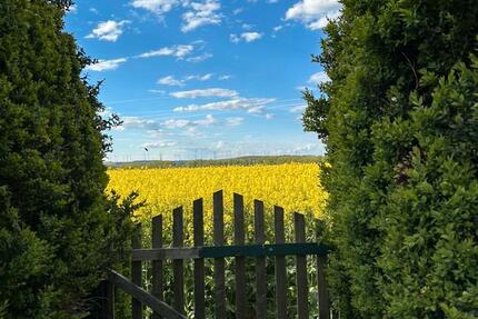 Haus Erfurt Johannesplatz - 4 Zimmer, 115 m&sup2;, 99.000&euro; | Angebot:25258000