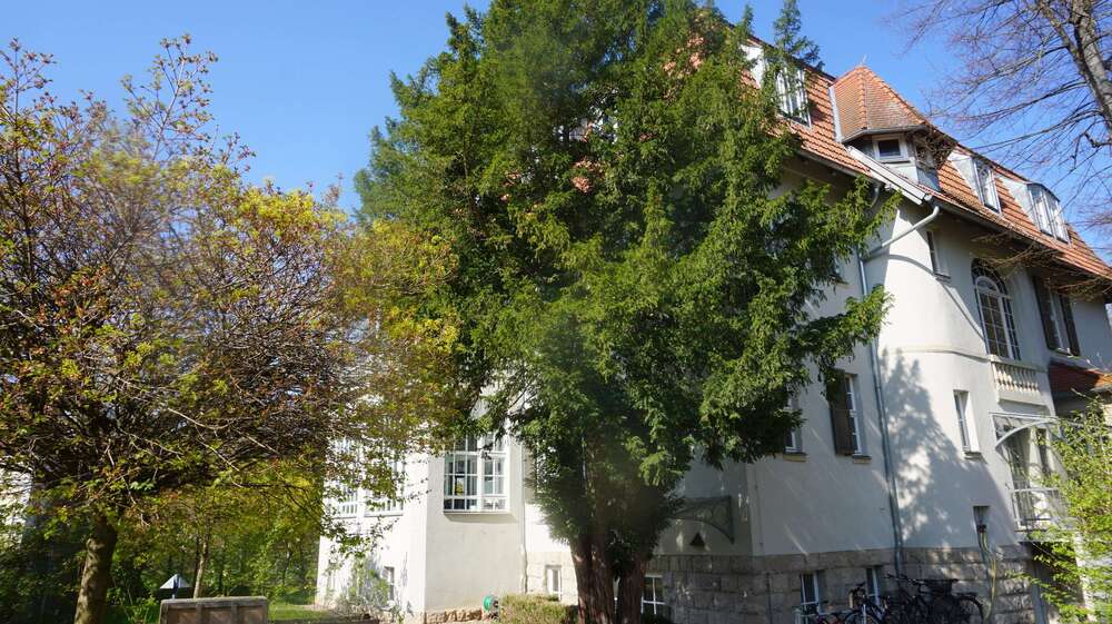 Gewerbeobjekt Erfurt Brühlervorstadt - 1.350&euro; | Angebot:27419812