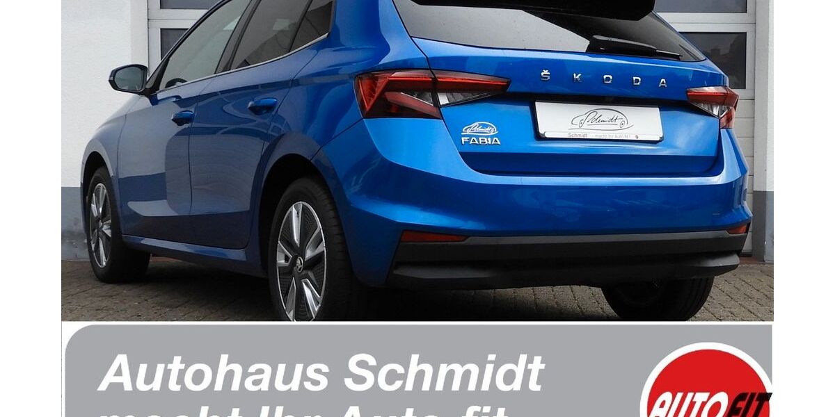 Skoda Fabia 3.946 km 24.500 &euro; Erfurt 99097
